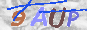 Bottivarmistus kuva
