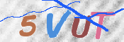 Bottivarmistus kuva